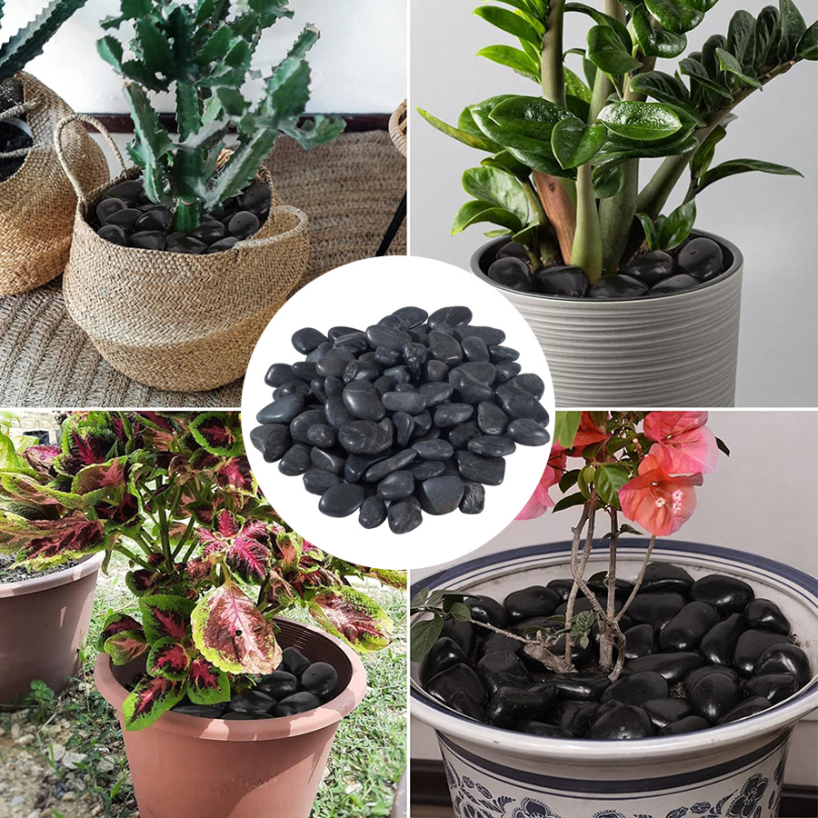 200g Black High Polished Natur - Aquarium Planting Ideas avis et prix