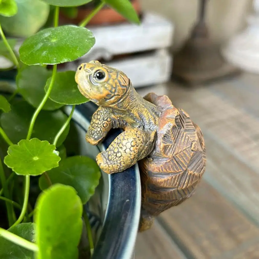 Fishing Turtle Hanging Turtle  - Aquarium Plant Nursery avis et prix
