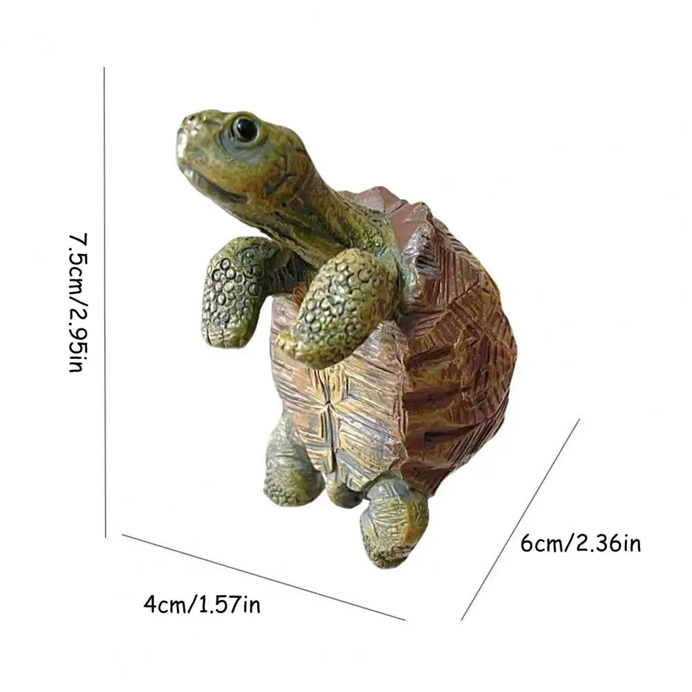 Fishing Turtle Hanging Turtle  - Aquarium Plant Nursery avis et prix