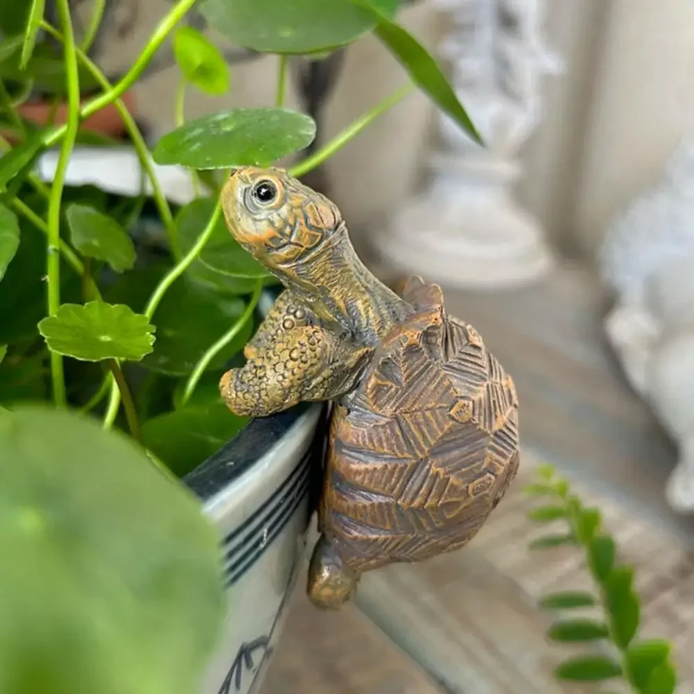 Fishing Turtle Hanging Turtle  - Aquarium Plant Nursery avis et prix