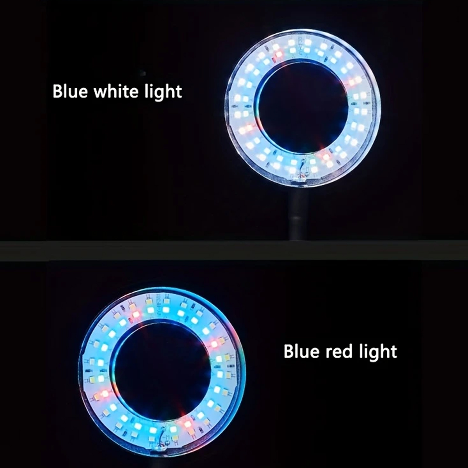 Small Aquarium LED Full Spectr - Planted Aquarium Photos avis et prix
