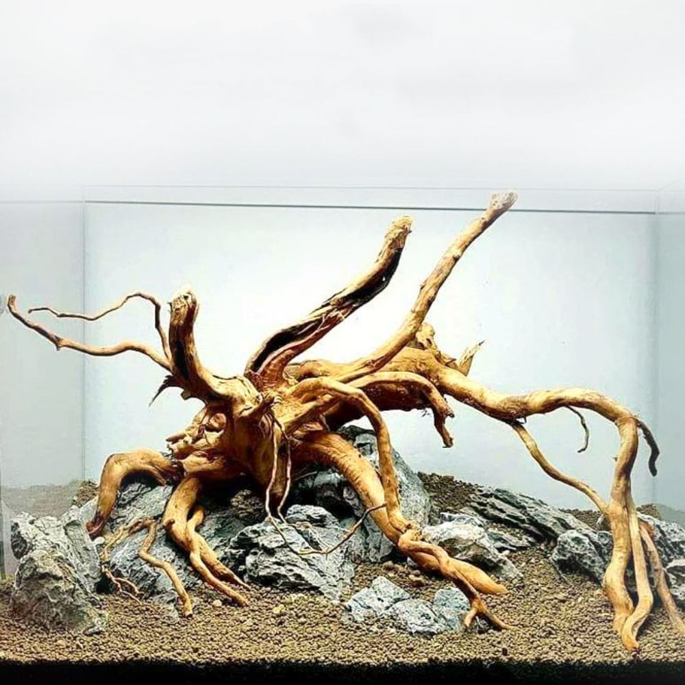 Natural Tree Trunk Aquarium De - Aquarium Plant Roots avis et prix