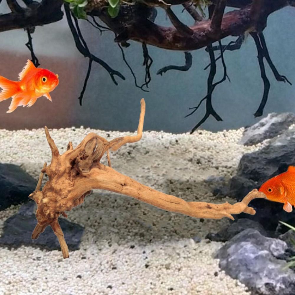Natural Tree Trunk Aquarium De - Aquarium Plant Roots avis et prix