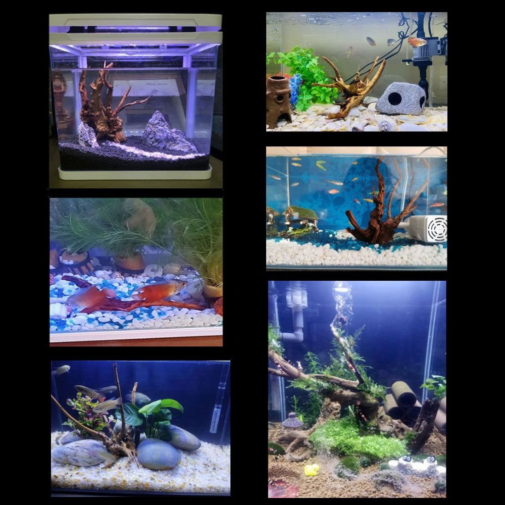 Natural Tree Trunk Aquarium De - Aquarium Plant Roots avis et prix