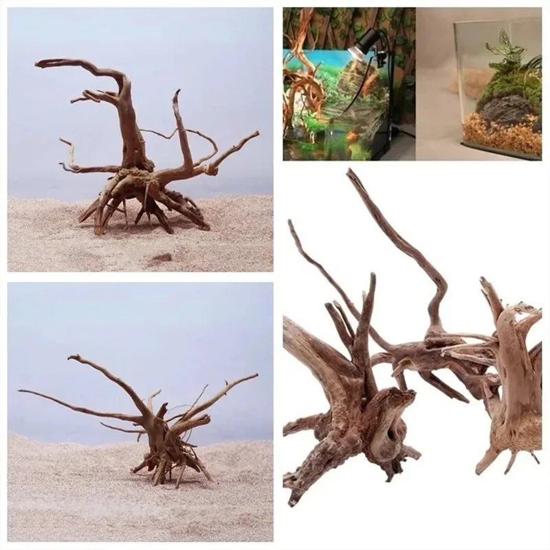 Natural Driftwood Cuckoo Roots - Aquarium Plant Root Tabs avis et prix