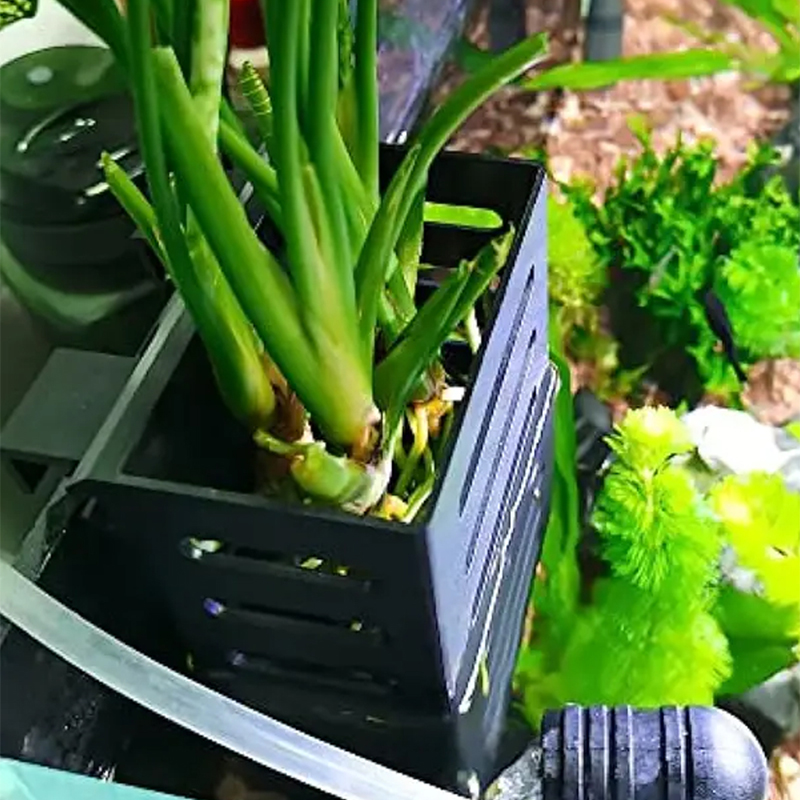 Pet Fish Tank Decorations Aqua - Aquarium Plant Roots avis et prix