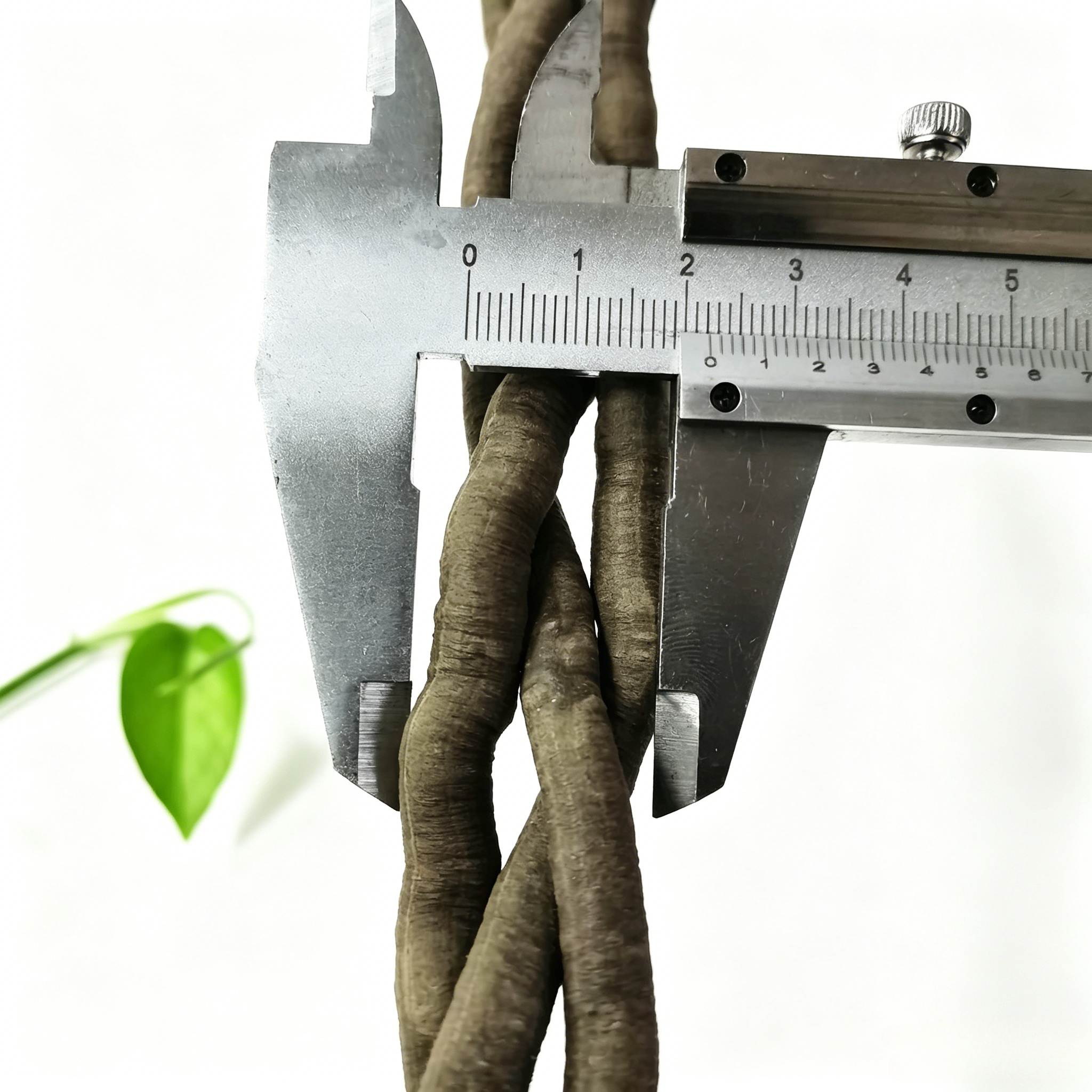 100cm Artificial Vine Fake Pla - Aquarium Plant Nursery avis et prix