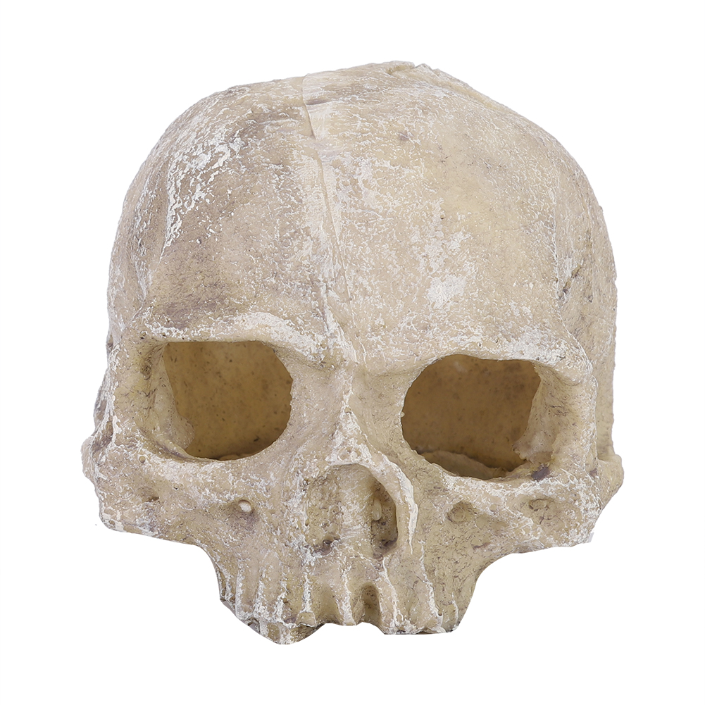 Resin Simulated Head Bone Skul - Aquarium Planting Ideas avis et prix