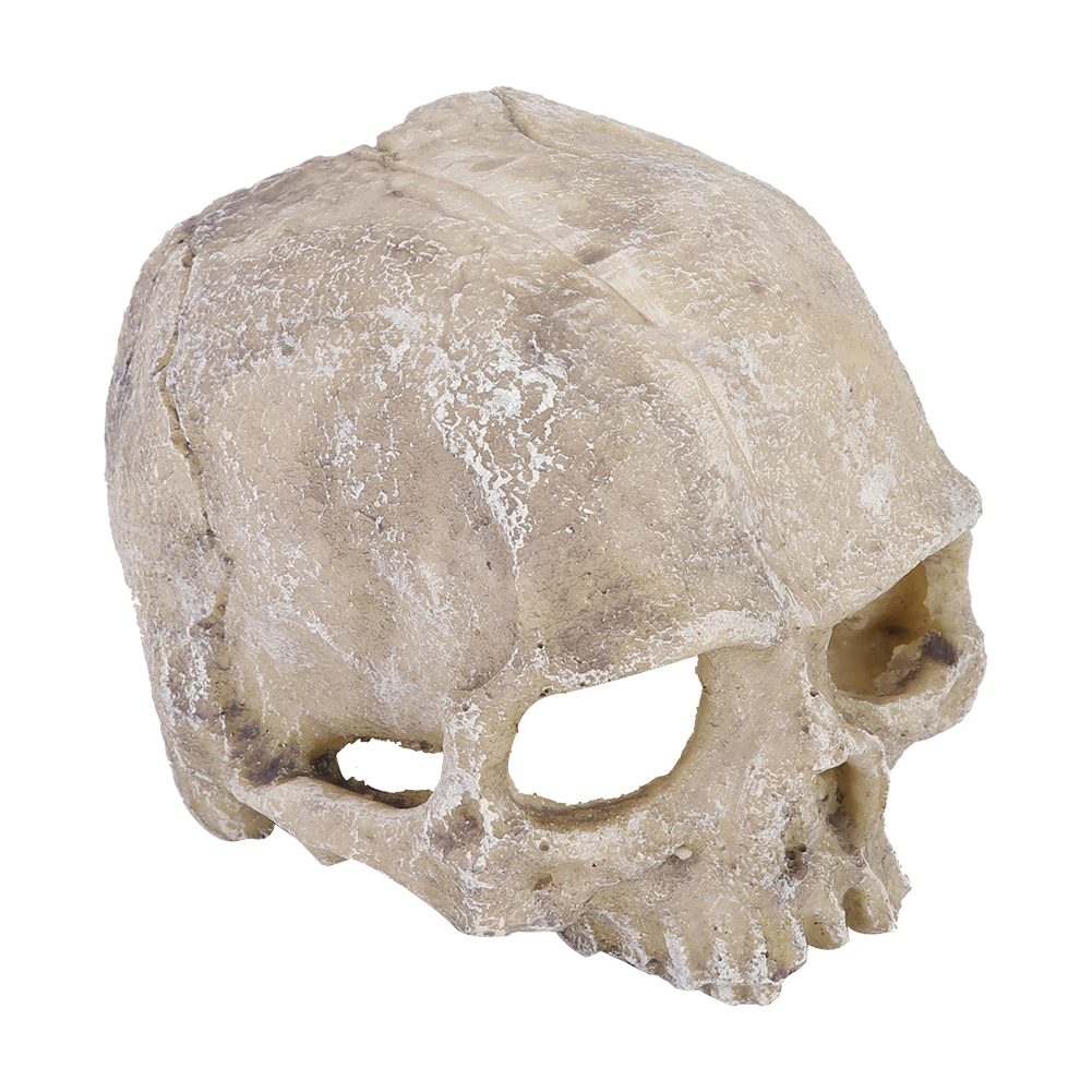 Resin Simulated Head Bone Skul - Aquarium Planting Ideas avis et prix
