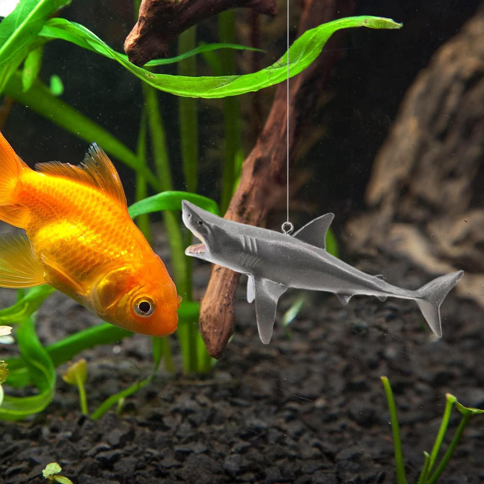 Floating Shark Aquarium Landsc - Aquarium Plant Roots avis et prix