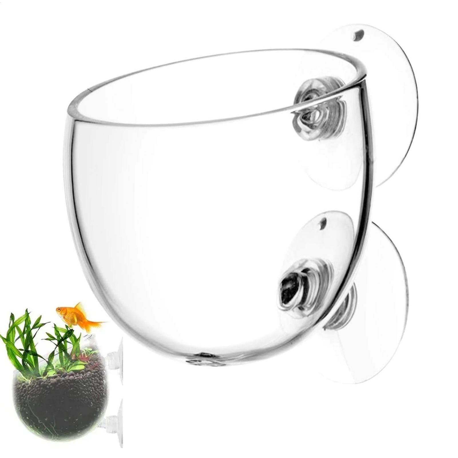 Aquarium Glass Plant Pot with  - Aquarium Plant Vine avis et prix
