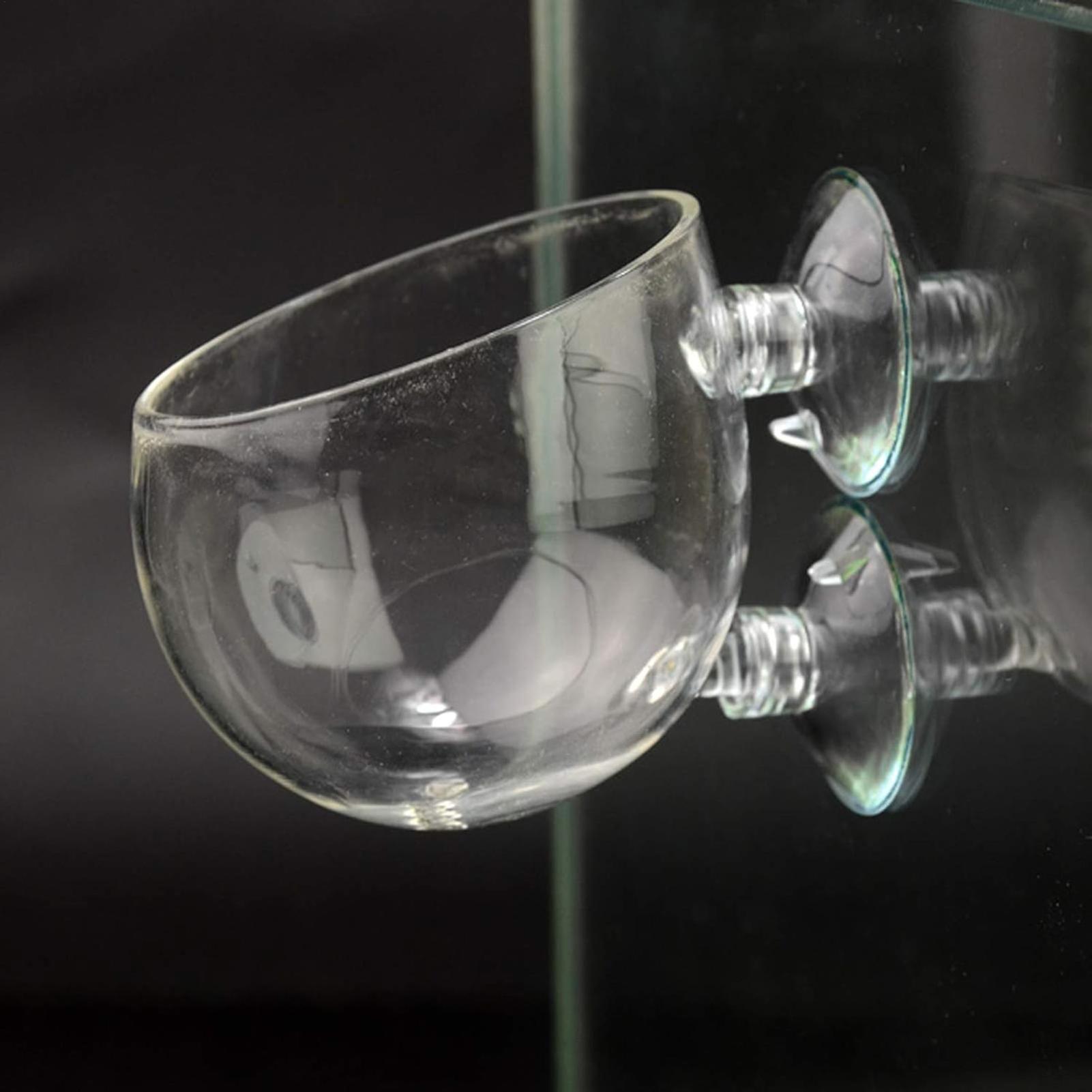 Aquarium Glass Plant Pot with  - Aquarium Plant Vine avis et prix