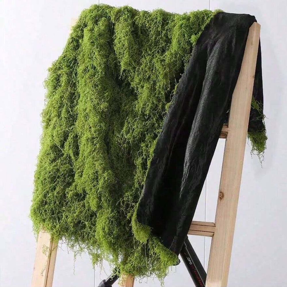1*1m Fake Moss DIY Crafts Gras - Aquarium Plant Root Tabs avis et prix