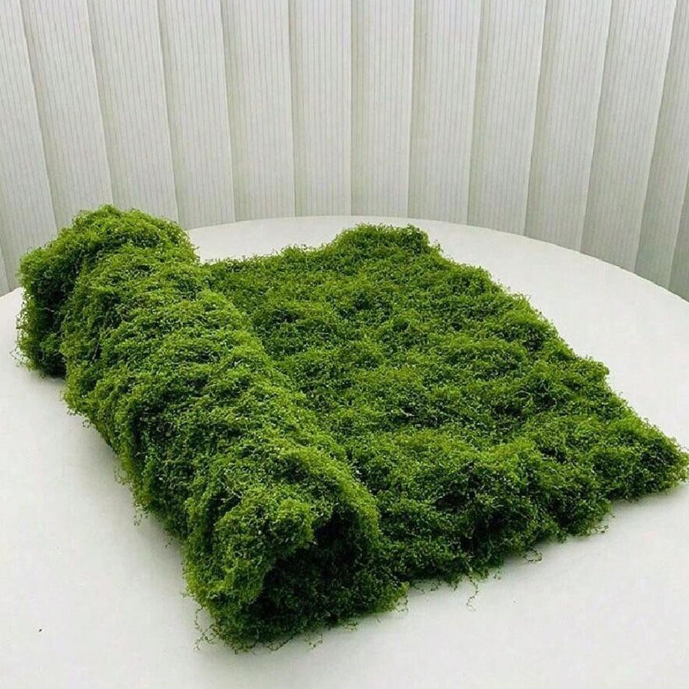 1*1m Fake Moss DIY Crafts Gras - Aquarium Plant Root Tabs avis et prix
