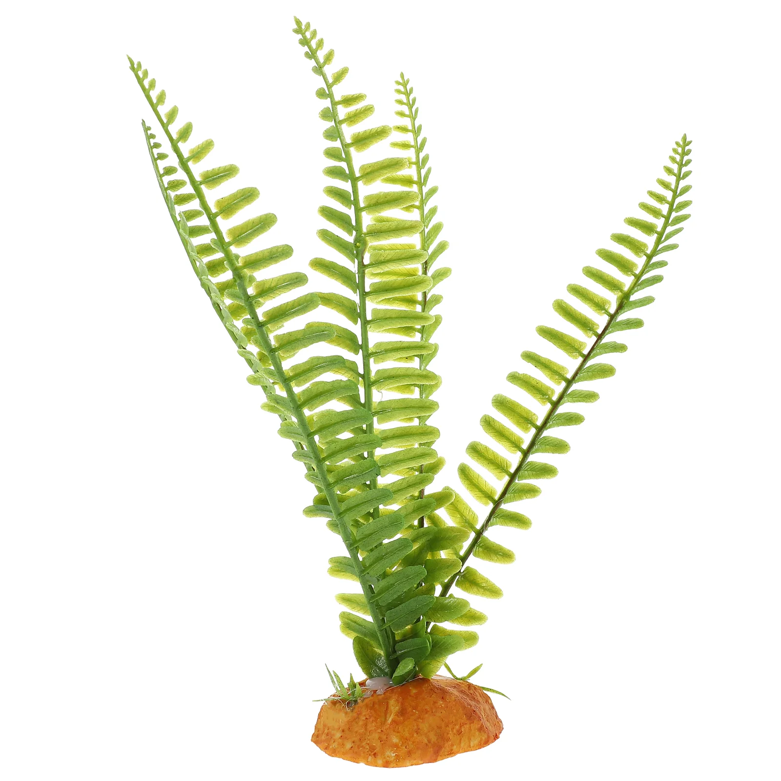 Reptile Plants Terrarium Vines - Aquarium Plant Vine avis et prix