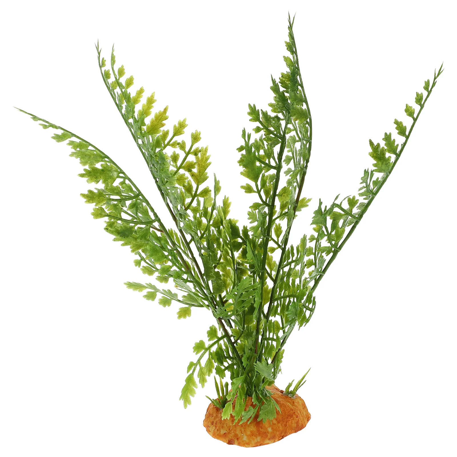Reptile Plants Terrarium Vines - Aquarium Plant Vine avis et prix