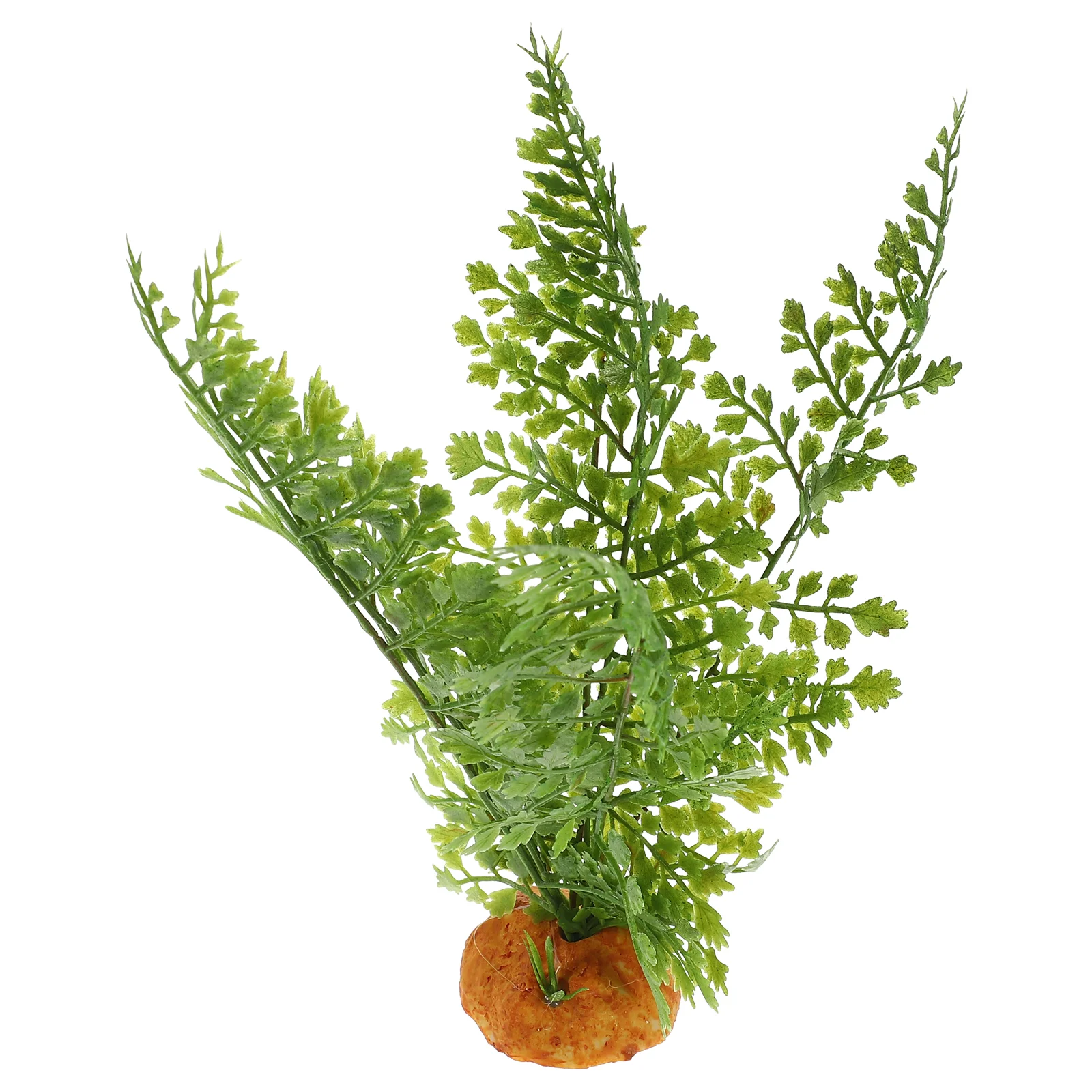 Reptile Plants Terrarium Vines - Aquarium Plant Vine avis et prix