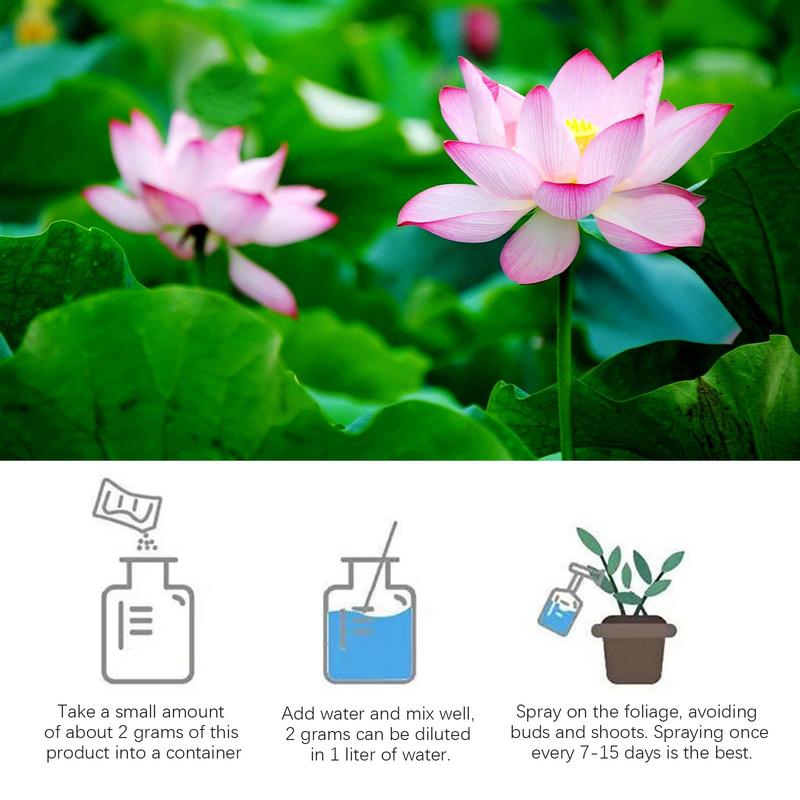 200g Natural Water Lily Flower - Aquarium Plant Nutrients avis et prix