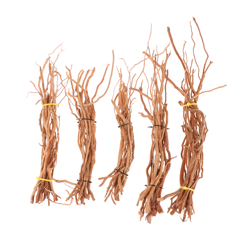 Aquarium Micro Landscape Natur - Aquarium Plant Root Tabs avis et prix