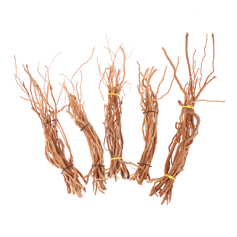 Aquarium Micro Landscape Natur - Aquarium Plant Root Tabs avis et prix