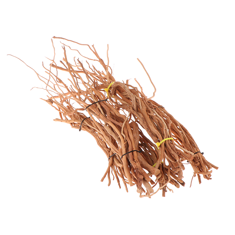 Aquarium Micro Landscape Natur - Aquarium Plant Root Tabs avis et prix