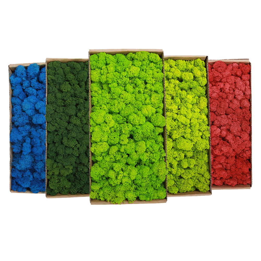 200g Artificial Green Plants M - Aquarium Plant Root Tabs avis et prix