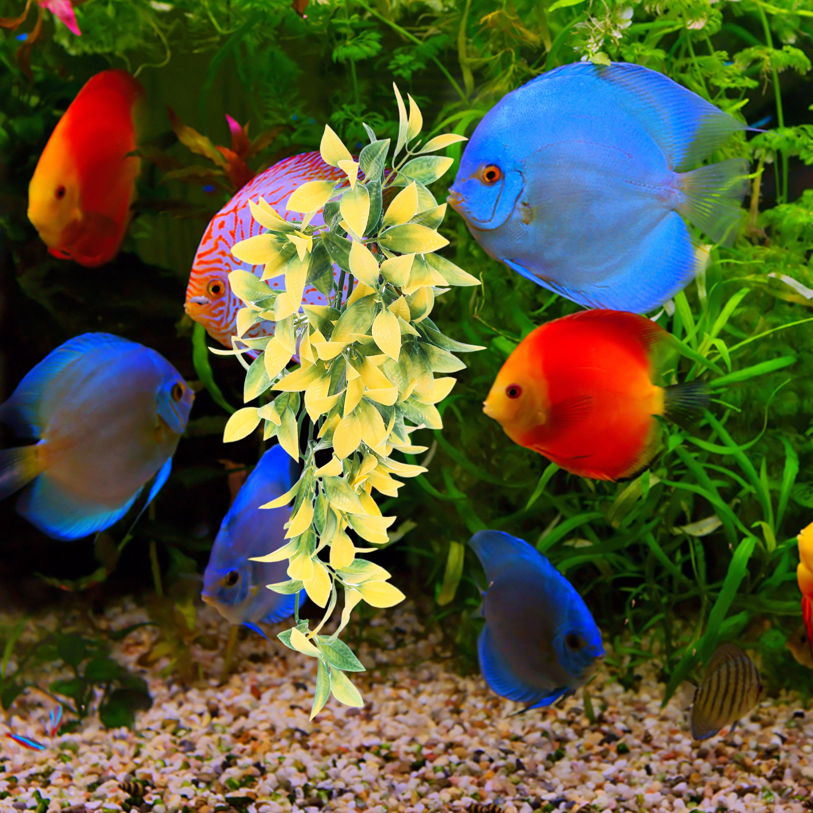 Artificial Realistic Hanging V - Aquarium Plant Vine avis et prix