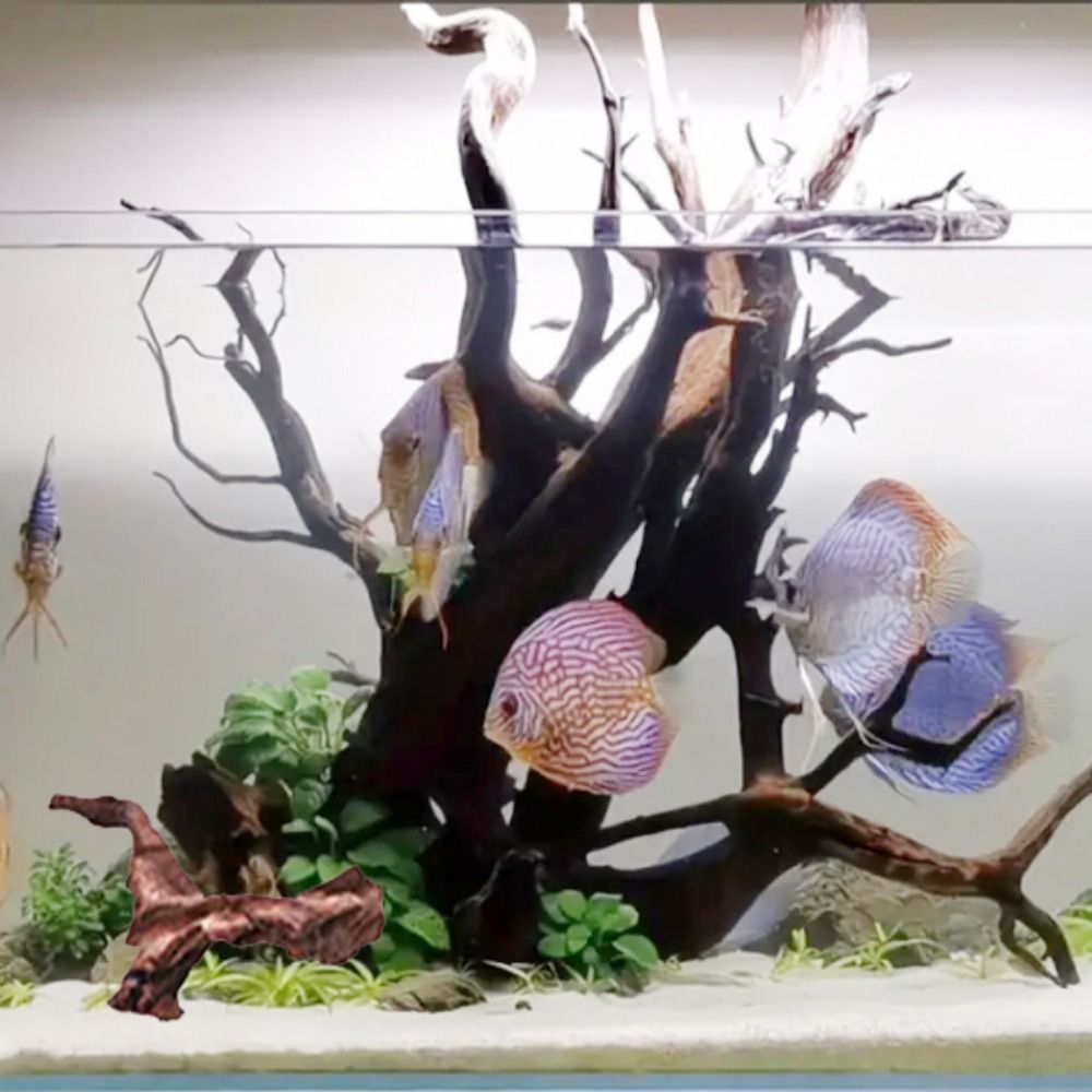 Creative Irregular Shape Coral - Aquarium Plant Roots avis et prix