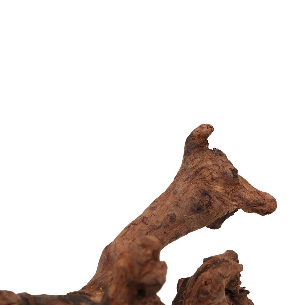 Creative Irregular Shape Coral - Aquarium Plant Roots avis et prix