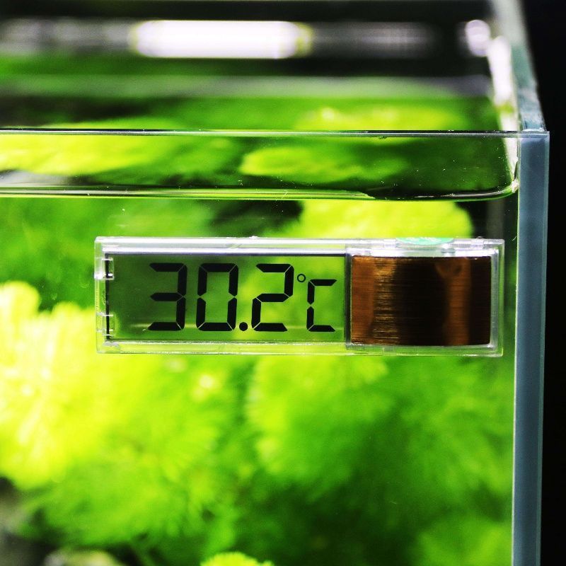 1pc Aquarium Thermometer 3D Di - Planted Aquarium Temperature avis et prix