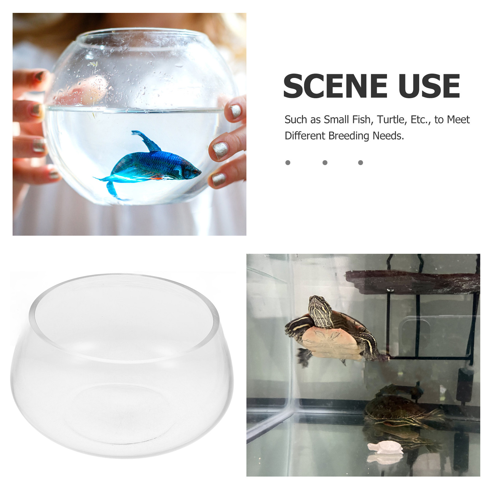 Round Clear Glass Mini Aquariu - Aquarium Planted Shop avis et prix