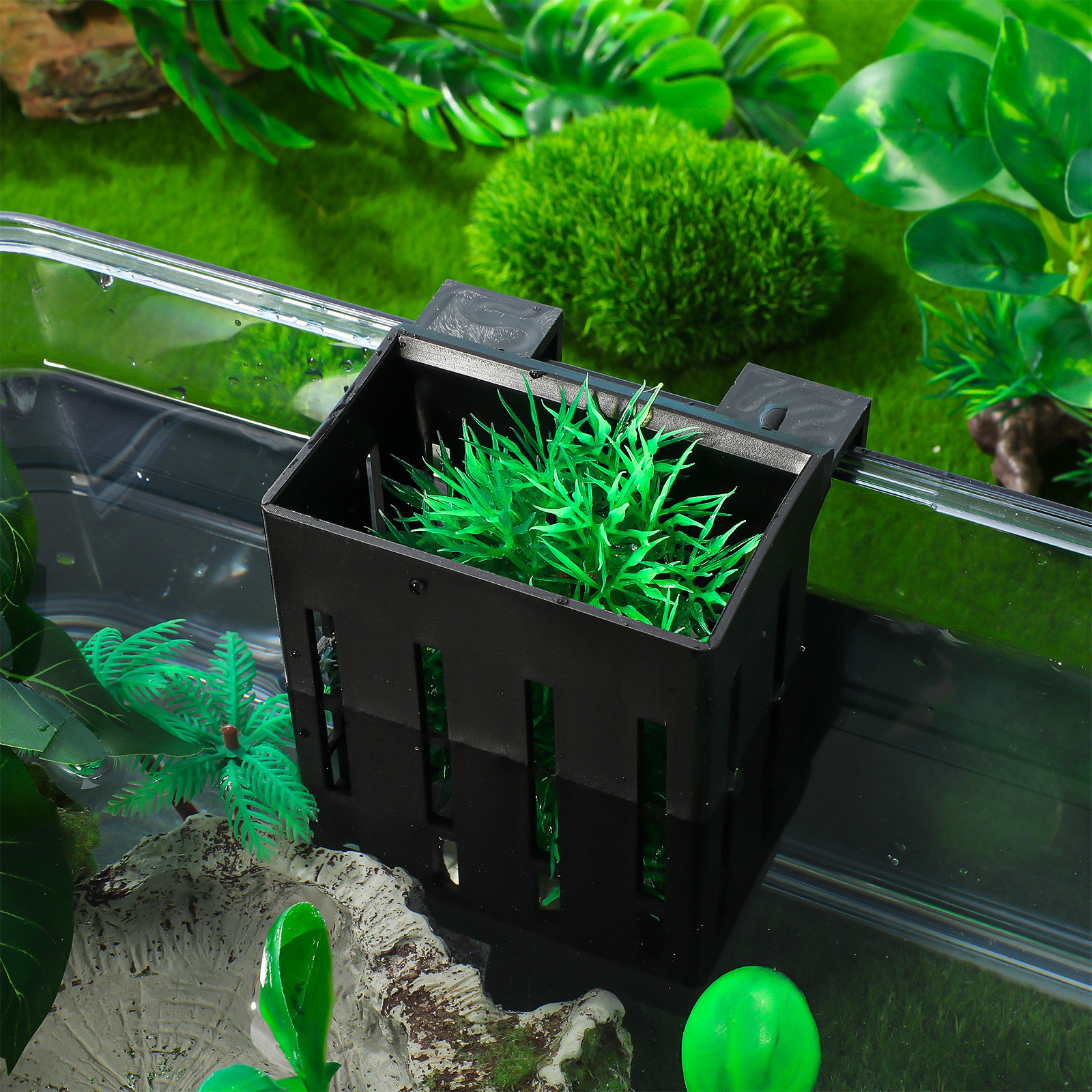 4Pcs Aquarium Plant Holder Set - Aquarium Plant Nutrients avis et prix