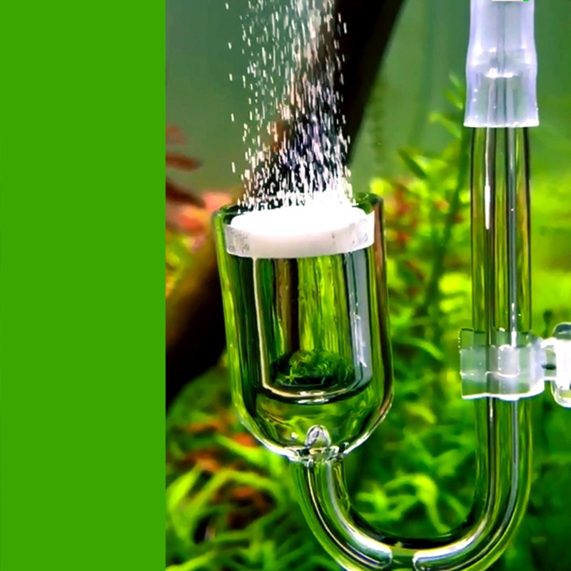 Nano CO2 Diffuser Glass Atomiz - Aquarium Plant No Co2 avis et prix