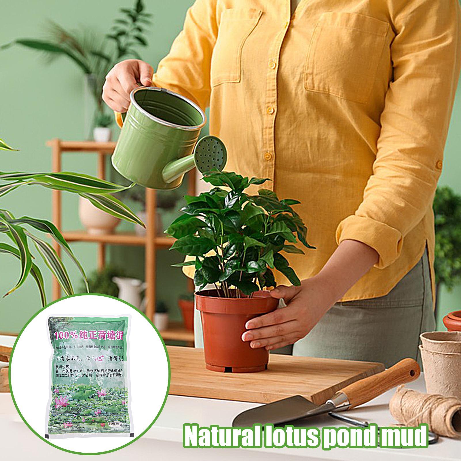 200g/bag Aquarium Soil Natural - Aquarium Plant Liquid Fertilizer avis et prix