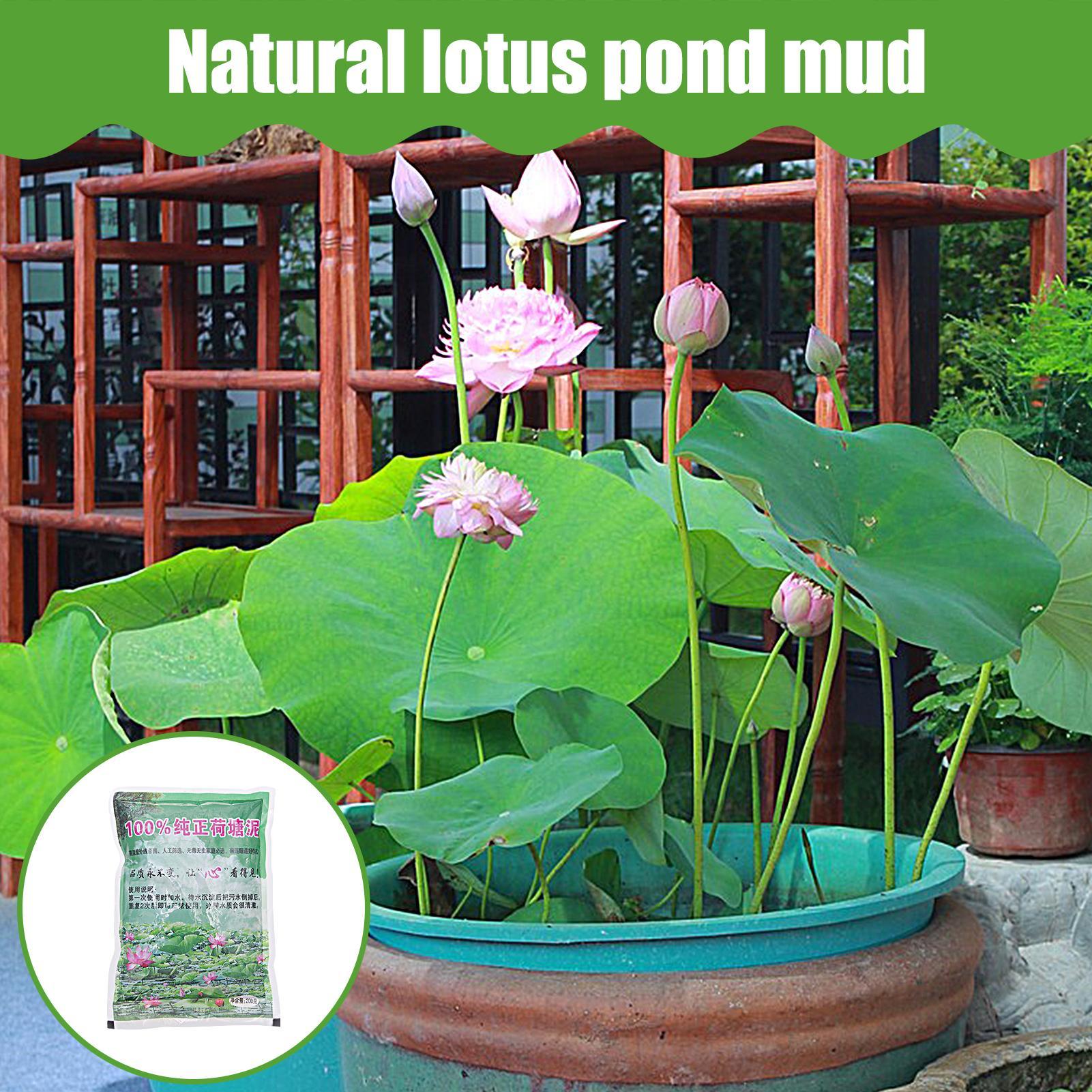 200g/bag Aquarium Soil Natural - Aquarium Plant Liquid Fertilizer avis et prix