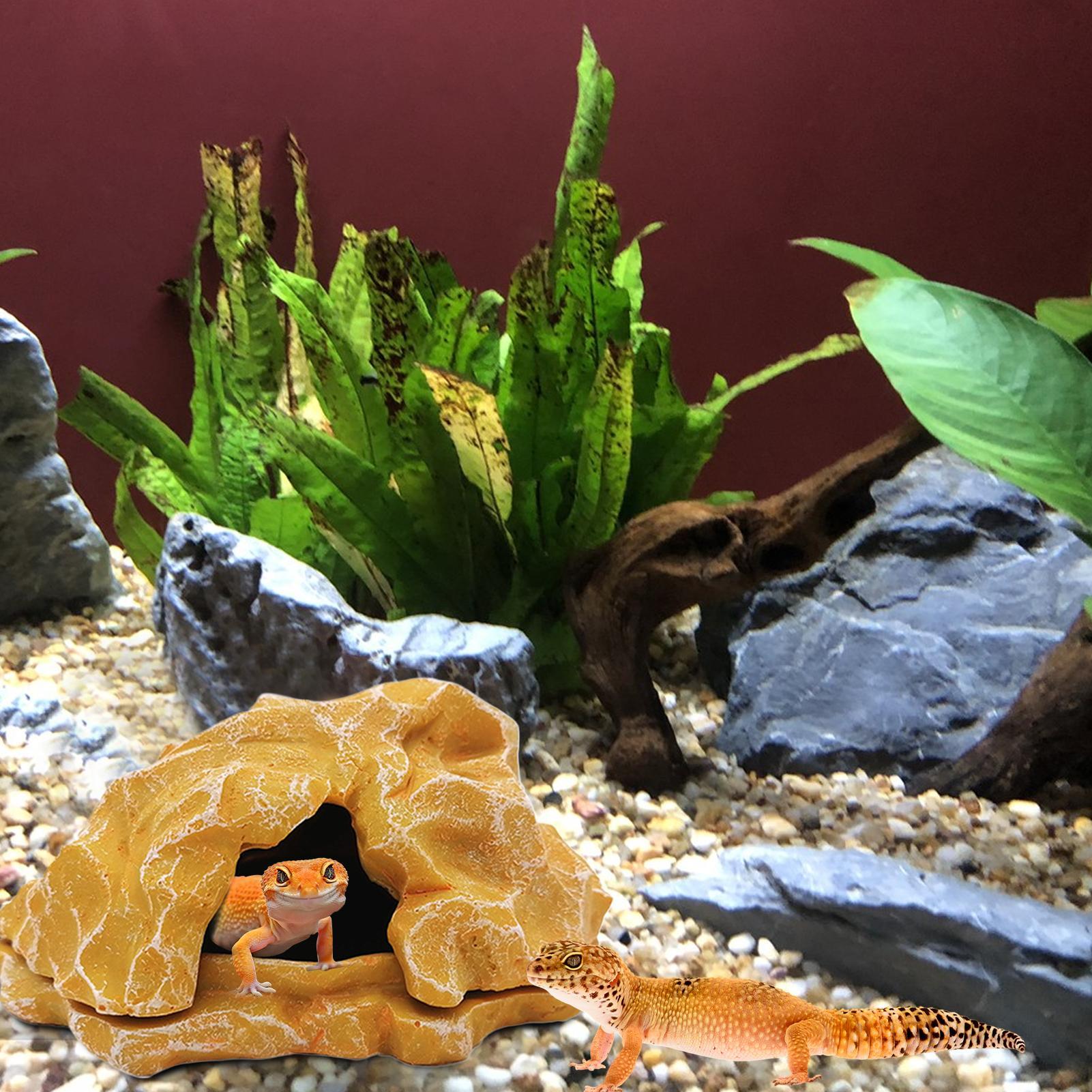 Lizard House Terrarium Resin F - Aquarium Planting Ideas avis et prix