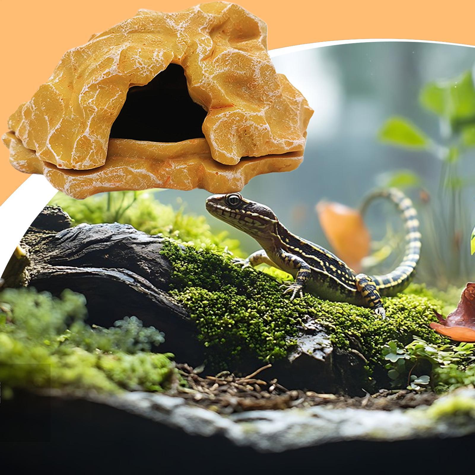 Lizard House Terrarium Resin F - Aquarium Planting Ideas avis et prix