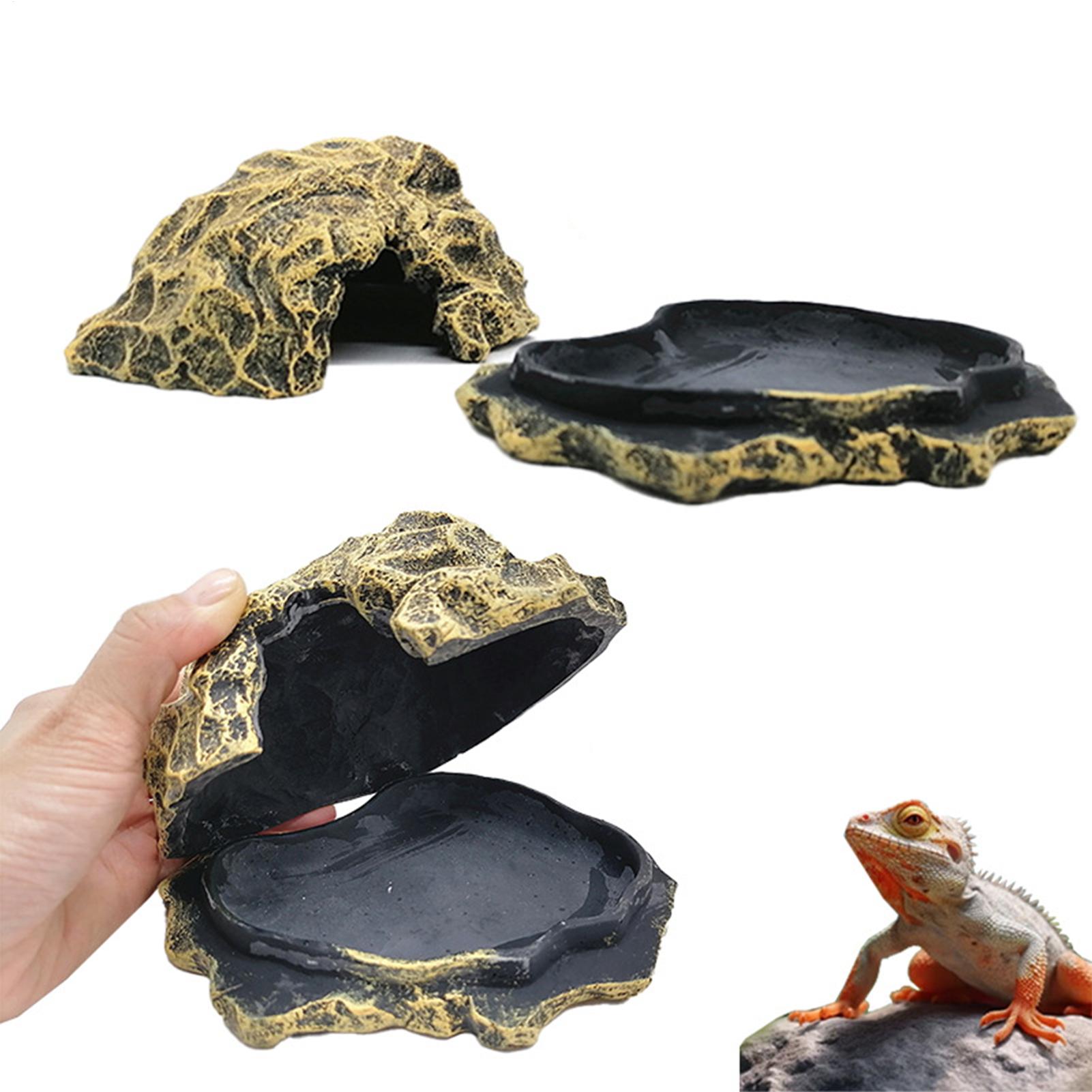 Lizard House Terrarium Resin F - Aquarium Planting Ideas avis et prix