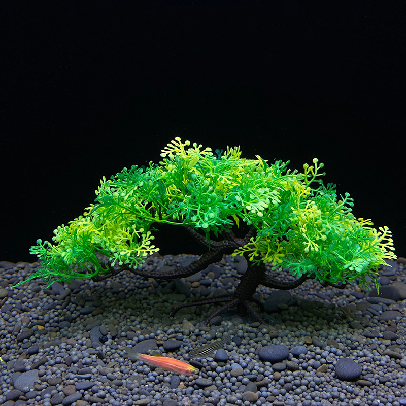 Aquarium bonsai tree, plant, f - Aquarium Plant Root Tabs avis et prix