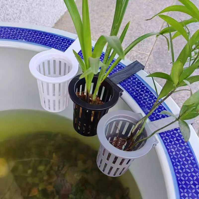 1/3Pcs Aquarium Plant Basket W - Aquarium Plant Roots avis et prix