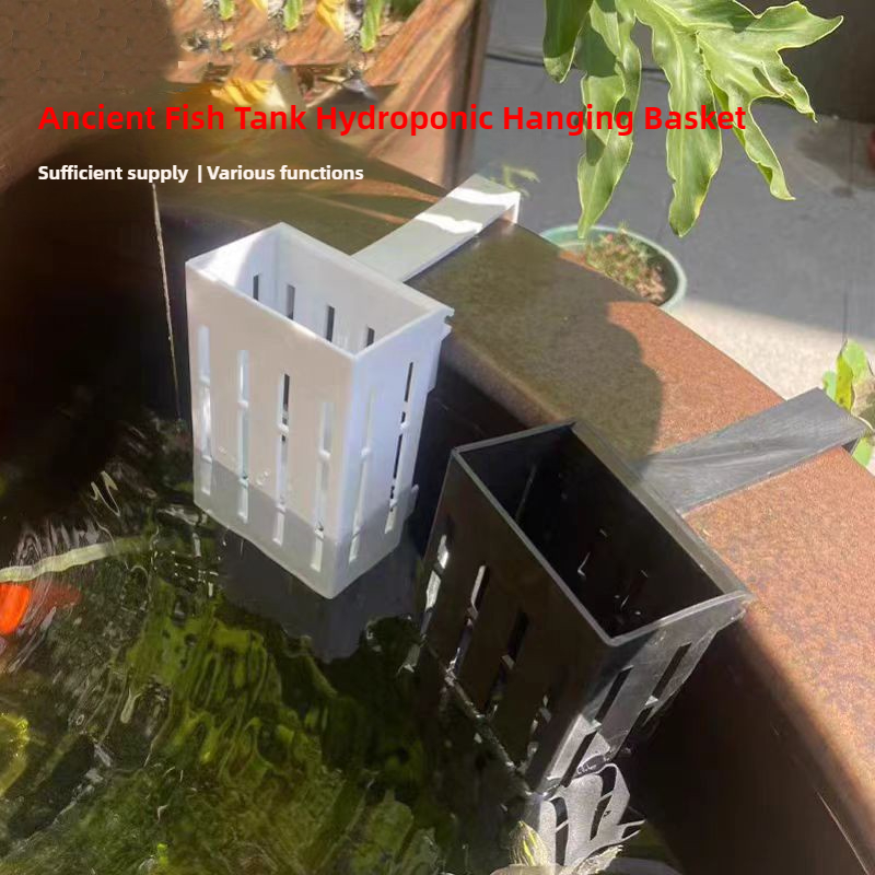 1/3Pcs Aquarium Plant Basket W - Aquarium Plant Roots avis et prix