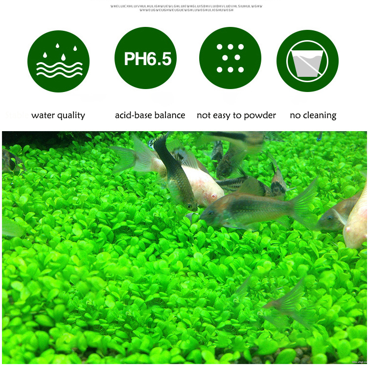 Aquarium Plant Seeds Soil Fish - Planted Aquarium Fertilizer avis et prix