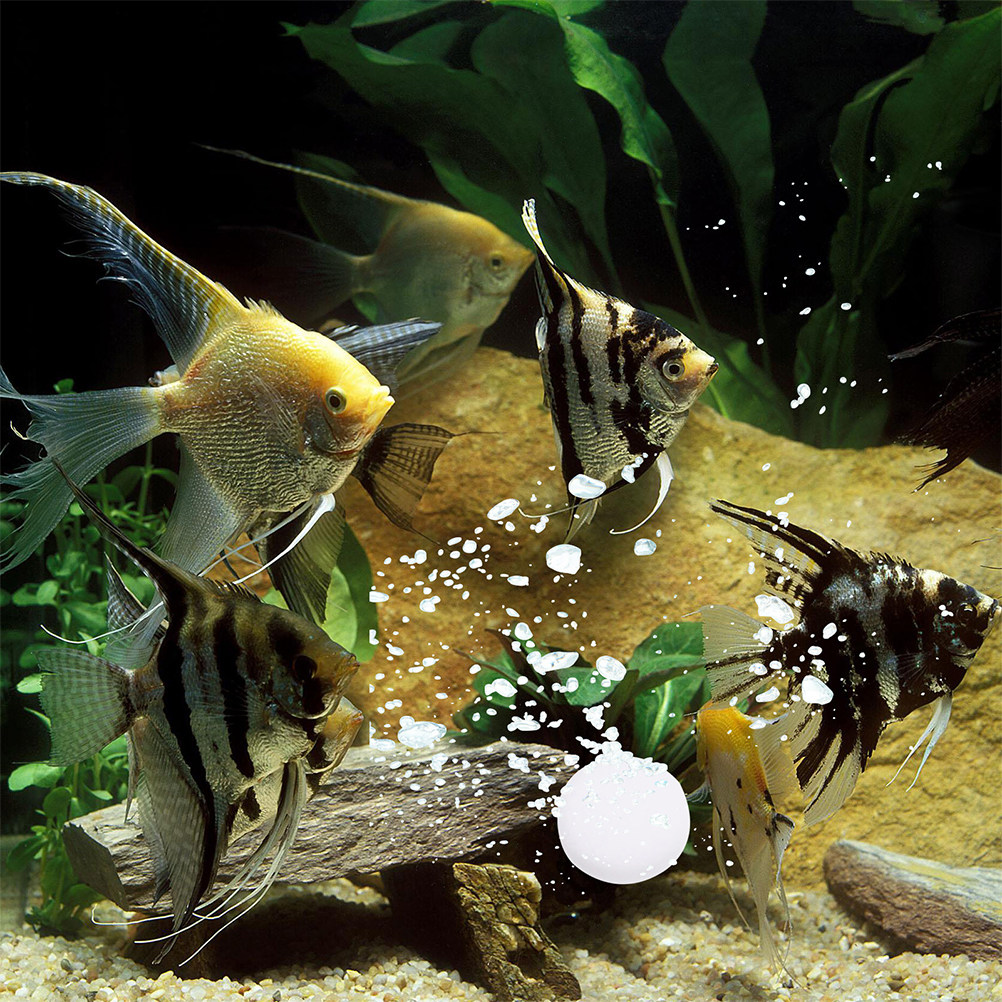 3 Bags Co2 Tablets Effective B - Aquarium Plant Nutrients avis et prix