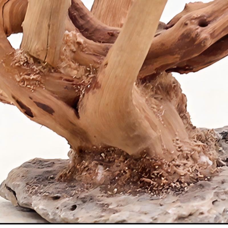 1PC Aquarium Landscaping Wood  - Aquarium Plant Roots avis et prix