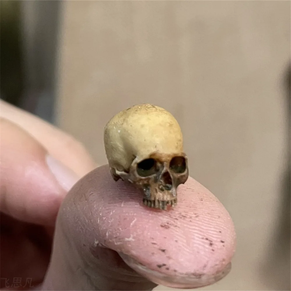 Mini Skull High Quality Miniat - Aquarium Plant Nursery avis et prix