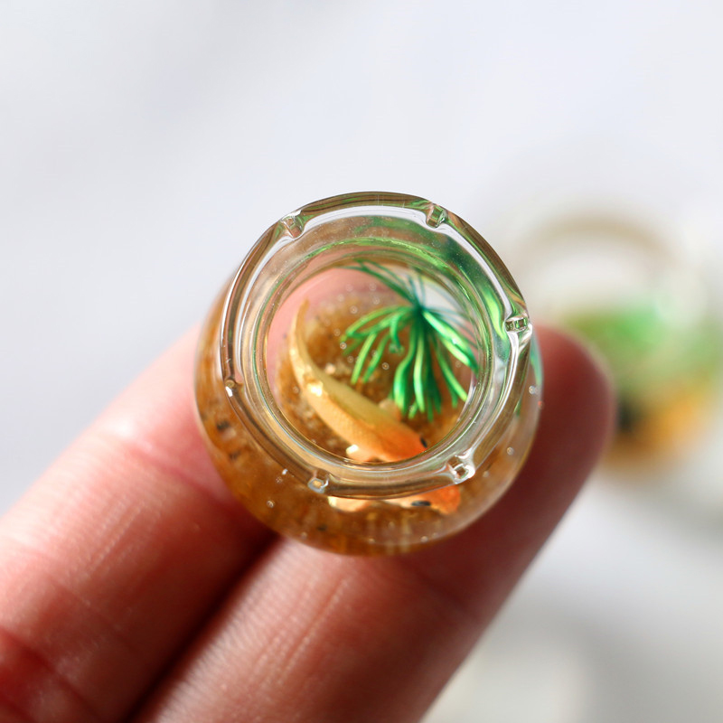 1Pc 1:12 Mini DollHouse Simula - Planted Aquarium Photos avis et prix
