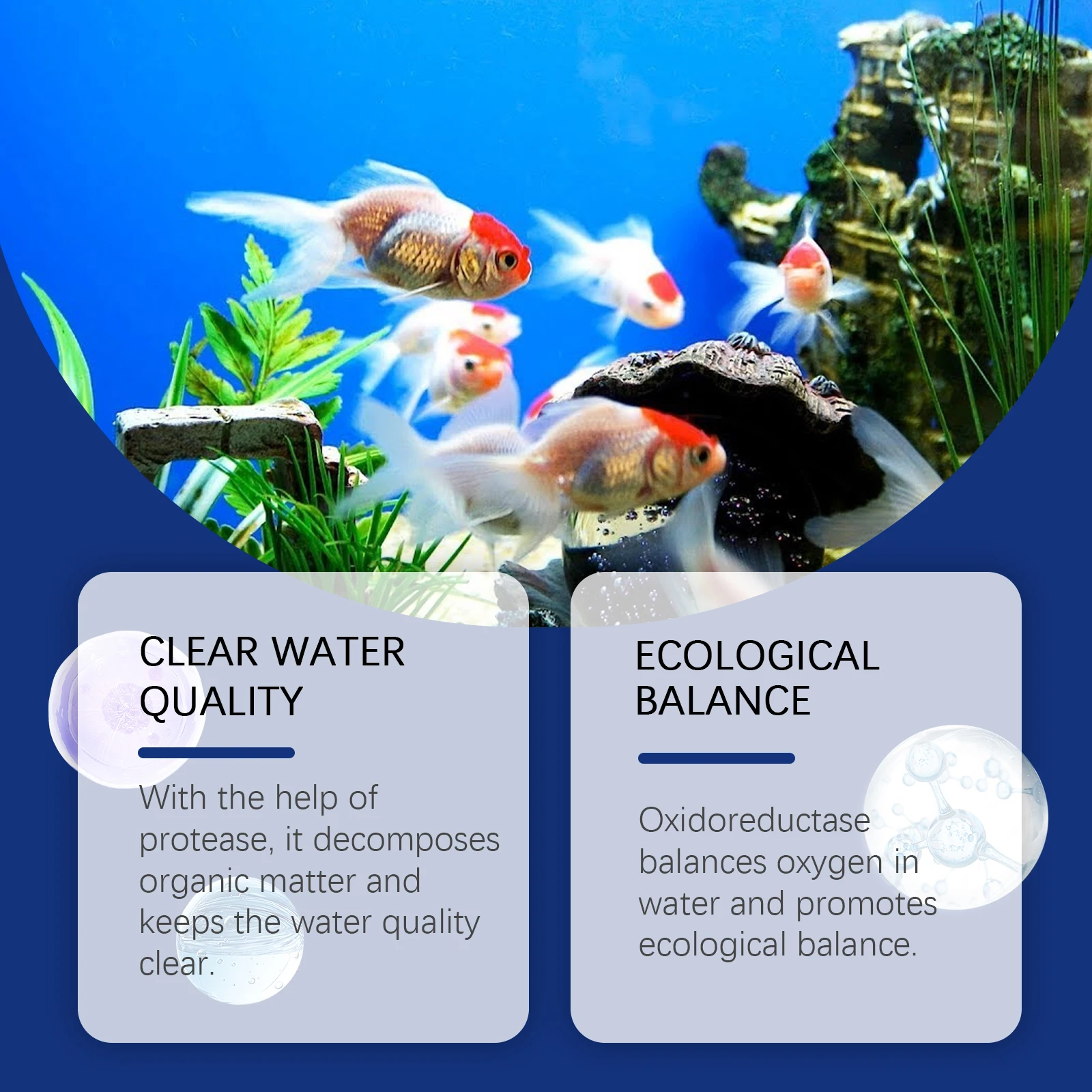 Aquarium Water Clarifier Fish  - Aquarium Plant Liquid Fertilizer avis et prix