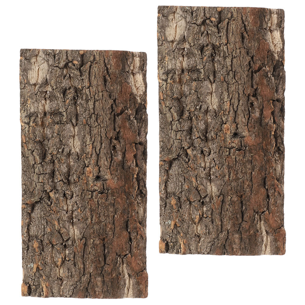 2Pcs Terrarium Cork Bark for R - Aquarium Planting Ideas avis et prix