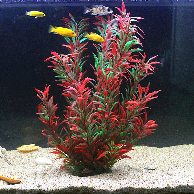 50CM Artificial Fish Tank Rare - Aquarium Plant Nursery avis et prix