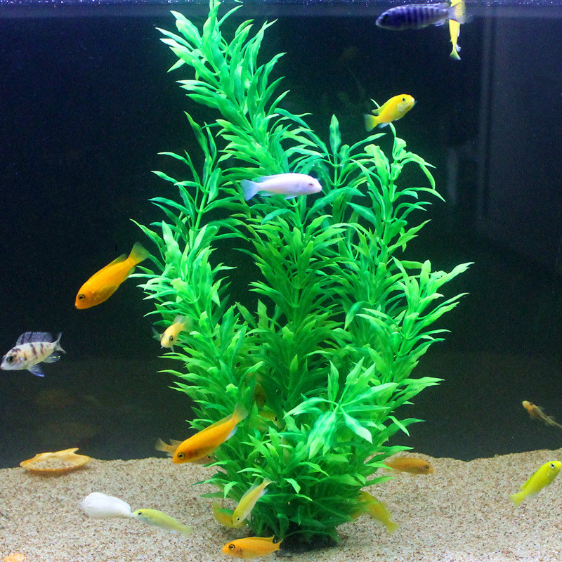 50CM Artificial Fish Tank Rare - Aquarium Plant Nursery avis et prix